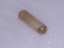 capsule